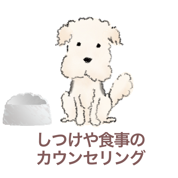 スライド1